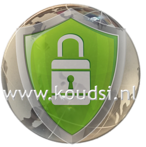 Koudsi ™ offers a variety of business web hosting accounts paired with SSL certificates for fast, secure connections. An SSL certificate not only ensures a secure connection but also enhances search engine visibility.